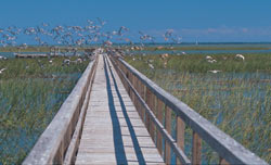 Another beauftiful Dunes West photo