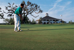 Dunes West golf course green photo