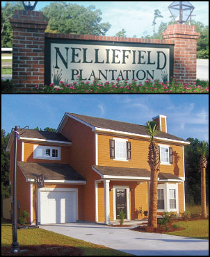 a home in Nelliefield Plantation on Daniel Island